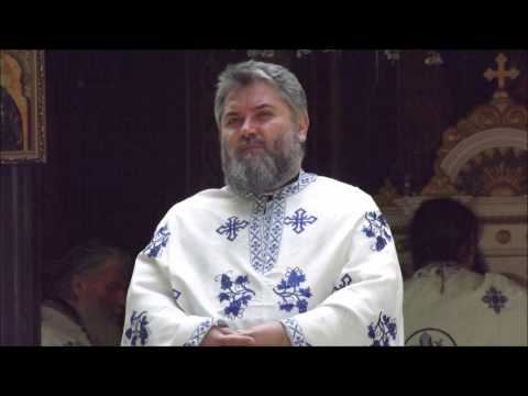 Predica la Duminica vindecarii slugii sutasului, 6 iulie 2014 (Manastirea Hodos-Bodrog)