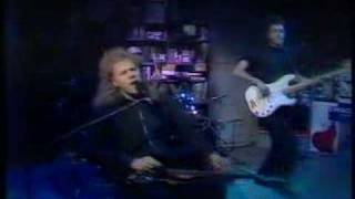 Jeff Healey - I think I love you too much