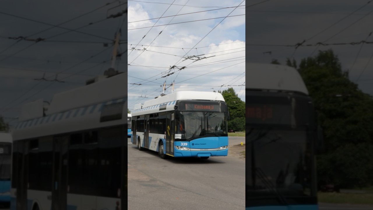 Solaris Trollino 12 in Tallinn🇪🇪 #trolleybus #publictransport #tallinn #estonia #shorts