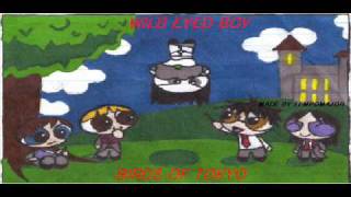 Wild Eyed Boy : Birds Of Tokyo