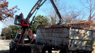 City Of Dallas: Brush and Bulk Collection