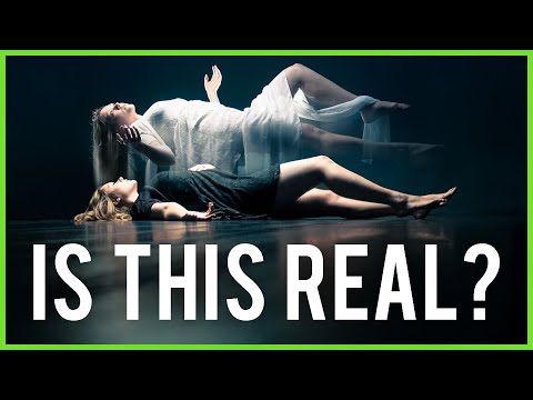 Living An Alternate Reality During A Coma - Paul Evans | Modern Wisdom Podcast 258