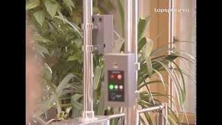 Динго Динго В-02