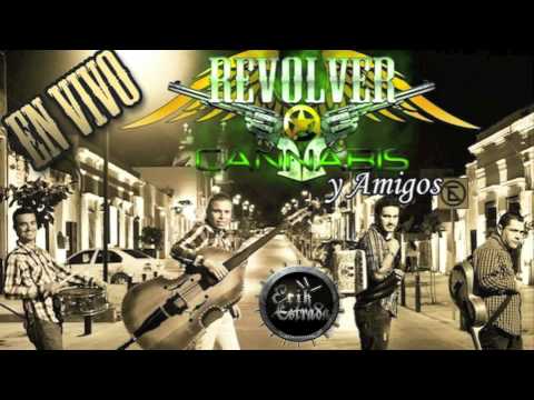 Paso A Paso video