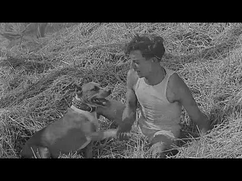 Buster Keaton – The Scarecrow (1920) Silent  film