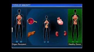 CBSE Class 12 Biology || Types of Immunity