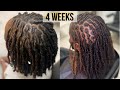 First Retwist On Coils Starter Locs C Shaped Parting Curly Ends