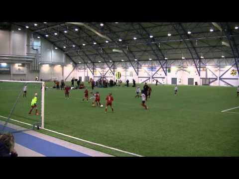 OGC 2015, E11: Pallokissat (pun) - ONS (valk)