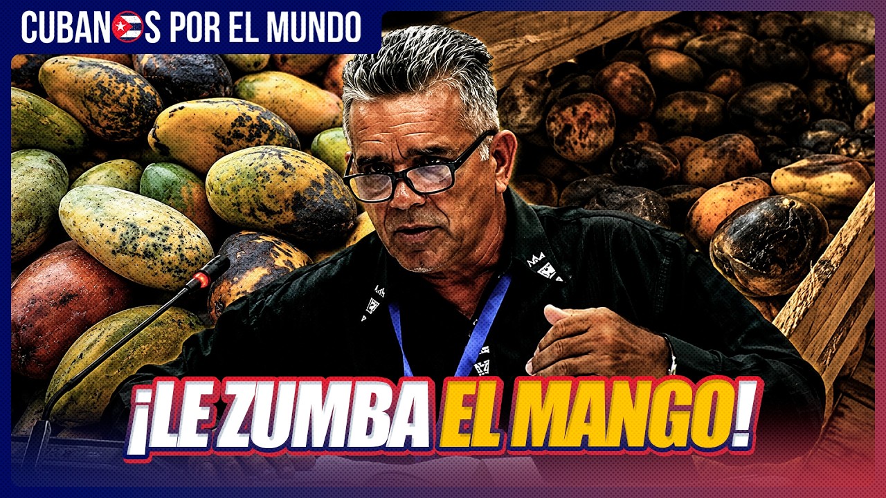 Cuba pierde 100 toneladas de mango mientras agrava su crisis