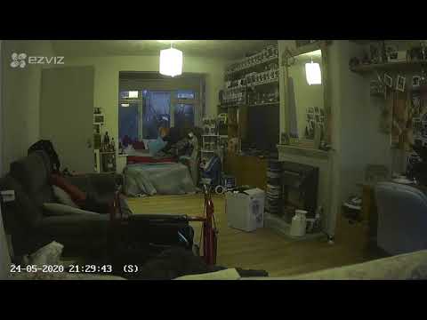 Pet owner captures the ghost of her dead cat curled up on her sofa