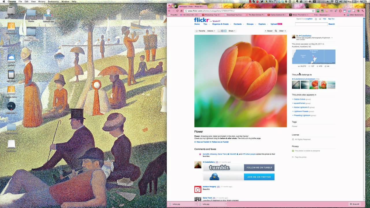 Tutorial - Downloading Photos from Flickr