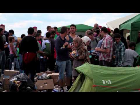 Volunteers Working to Bring Relief to Desperate Migrants