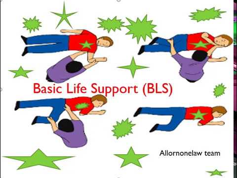 basic life support BLS