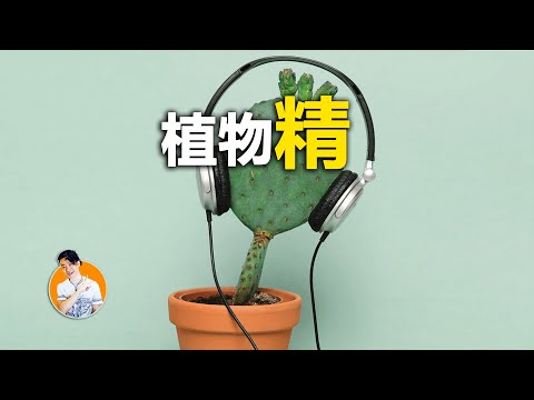 草原植物有哪些