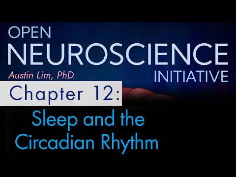"Sleep and the Circadian Rhythm" Open Neuroscience Initiative Chapter 12 (audio textbook)