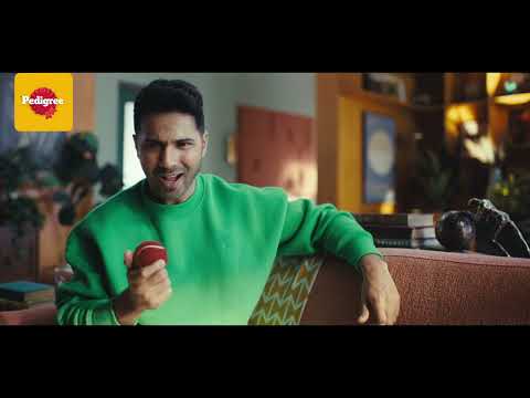 1Kg Pedigree Meat Rice Adult Dry Dog Food