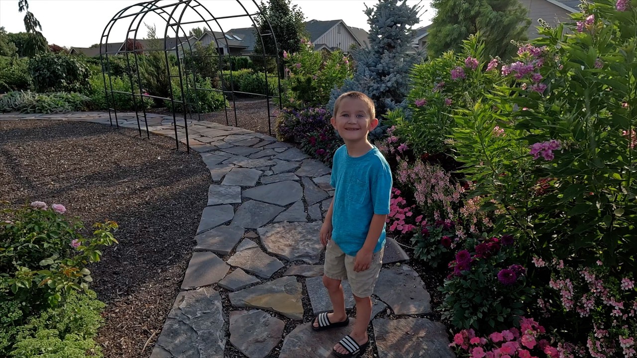 Tree Shopping with Aaron + Planting New Campanulas for 2025! 🌳🙌🌲 // Garden Answer