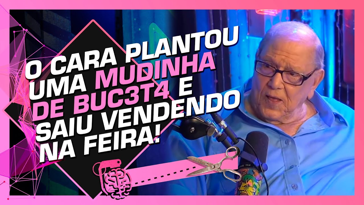 COMPILADO DE MÚSICAS - ARY TOLEDO | Cortes do Inteligência Ltda.