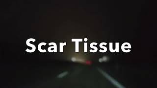 Scar Tissue Music Video