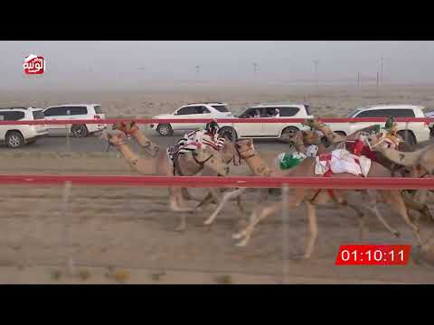 ش 6 (مدرب) لـ جابر محمد سلطان الشامسي 3:05 , تمهيدي مهرجان العين 2026/07/03 فطامين سويحان