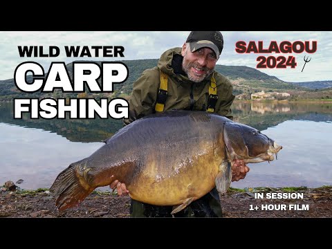 Wild water CARP FISHING - Salagou 2024