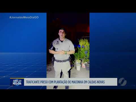 Traficante é preso com plantação de maconha em Caldas Novas