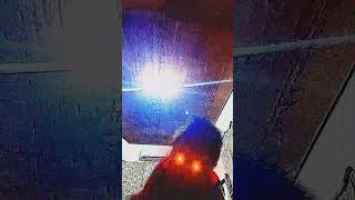 Get crushed by a giant monster