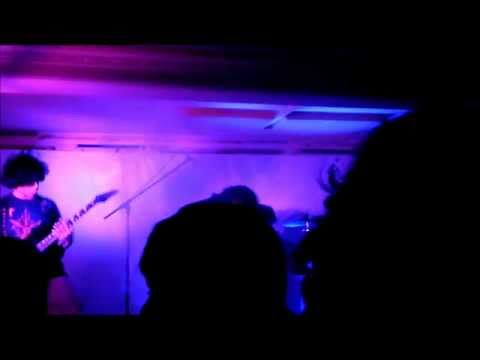 Vizia - The Beginning (Live HD)