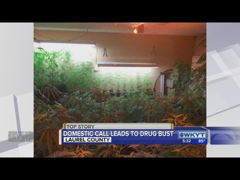 Laurel County Ky Busted Newspaper