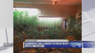 Police find marijuana growing operation in Laurel County