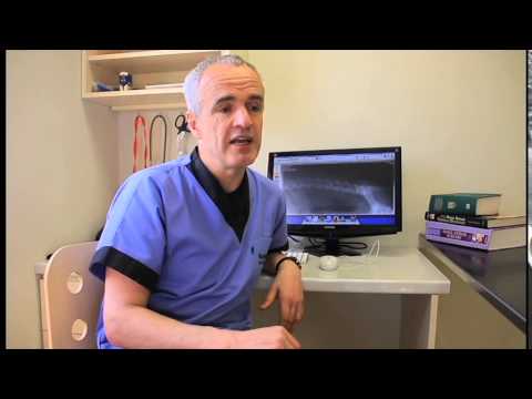 YouTube video about: How to tell if your dog ate a squeaker?