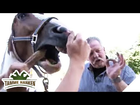 Tierische Sprechstunde: Tamme Hanken auf Hausbesuch | 2/2 | Tamme Hanken