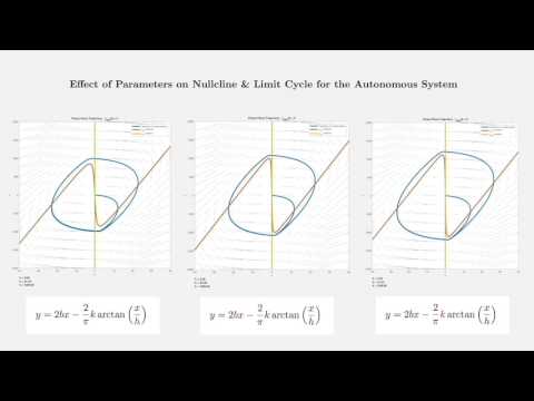 Parkinsonian Tremor - Phase Space Analysis