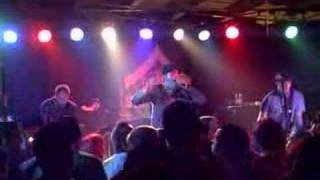 Street Dogs Detroit Fading American Dream