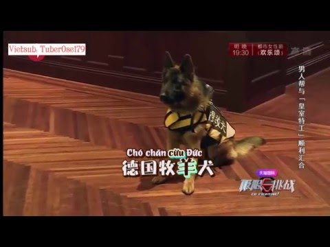 [Vietsub] Go Fighting! Season 2 - Ep 1 (Trương Nghệ Hưng cut)