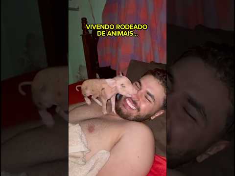 Vivendo rodeado de animais - Rancho do Bastião🤠❤️