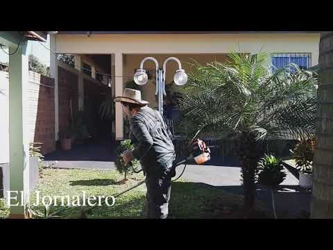 El Jornalero(Musical Bohemios)