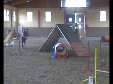 Adriana Slezáková + A3Ch Timi - kvalifikace agility 1.kolo