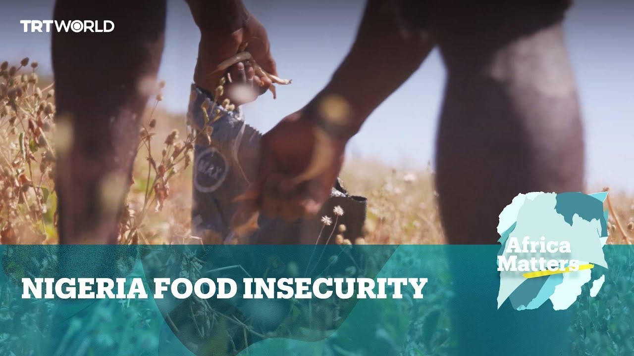 Africa Matters: Violence cripples farming in northern Nigeria