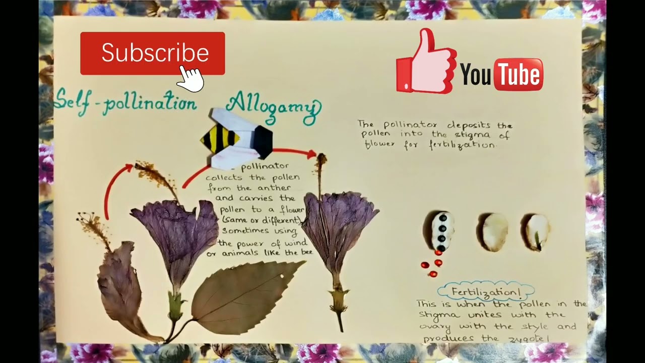 Pollination Comic Strip