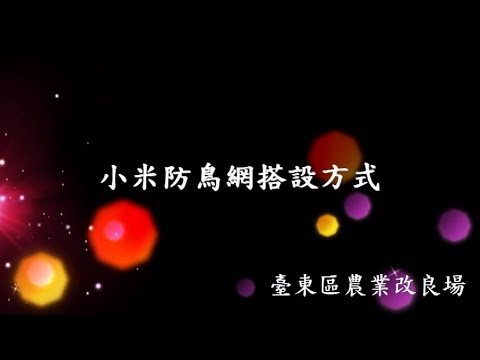 小米防鳥網搭設方式