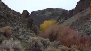 Squaw Creek, Owyhee Mts, ID, 11/07/2013