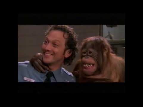 #animal  - - Tier im Manne  - - #ausschnitt  #german  - #lol