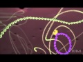 HIV life cycle: How HIV infects a cell and replicates ...