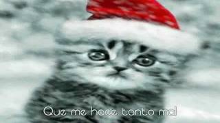 Amarga Navidad ❖ Amalia Mendoza