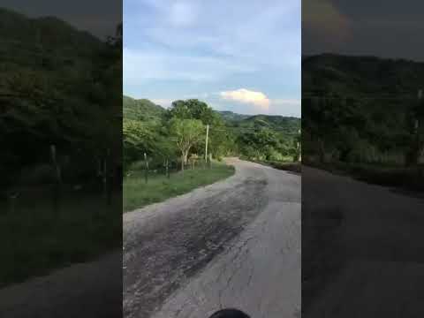 COLOSO Sucre COLOMBIA 🐠