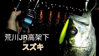 荒川　シーバス調査2020.10.29 X80swでスズキを釣る　メガバス