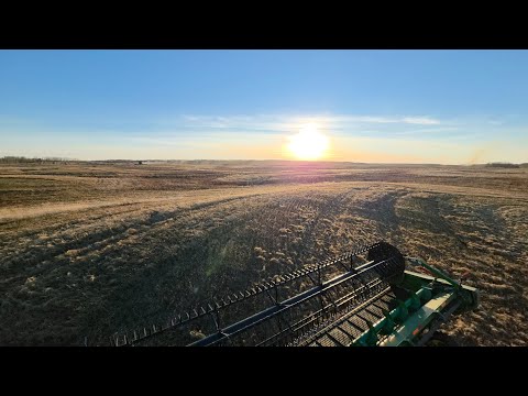 The Flax is a wrap 👌