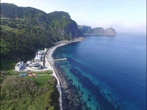 Ulleungdo underwater live cam