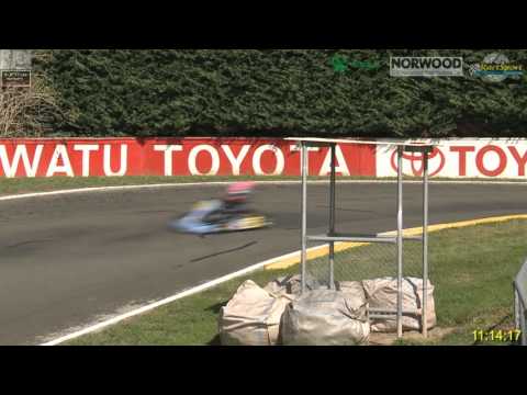 Kart Sport 2015 Race 25 - Cadet ROK - Heat 2